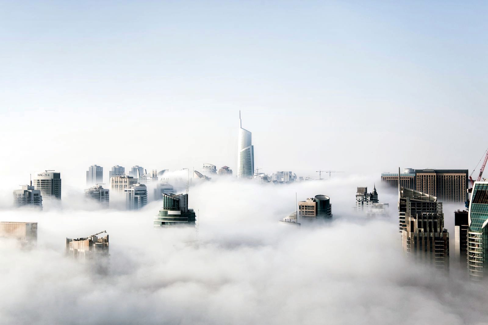 ERP and systems advisory