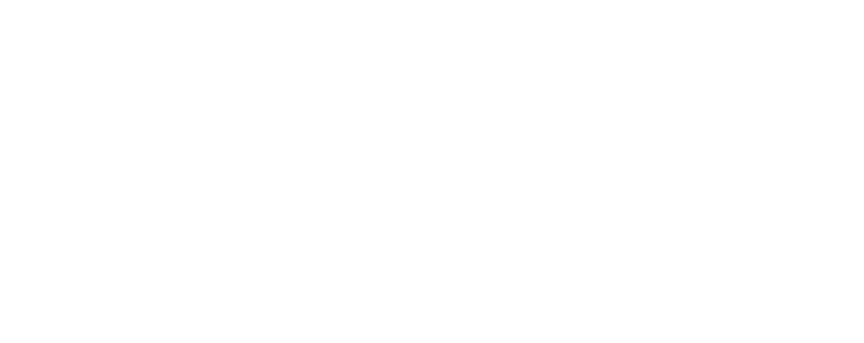 BizFractional